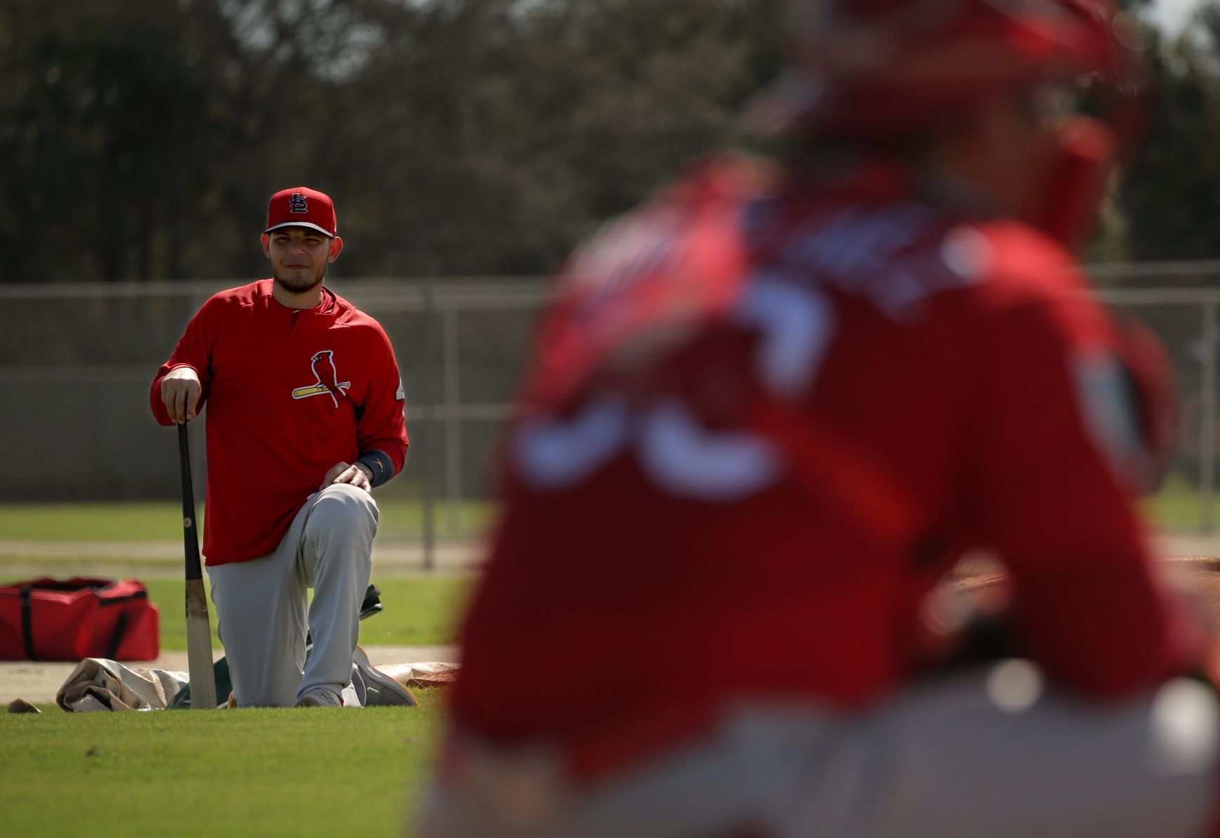 Cardinals spring training continues